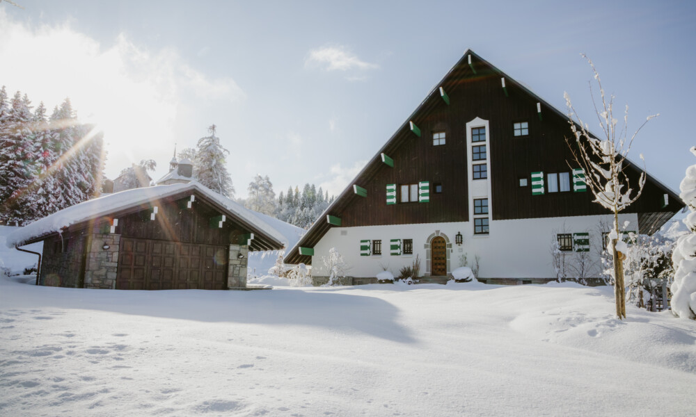 2511 Marie Bougault Le Sarto 11