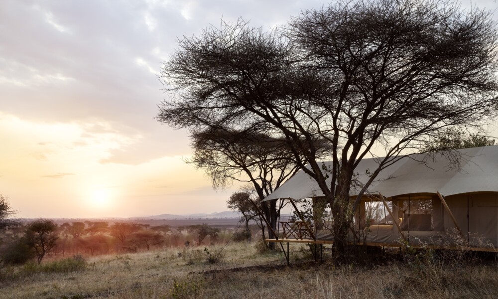 Tented Suite Exterior view Out of Africa