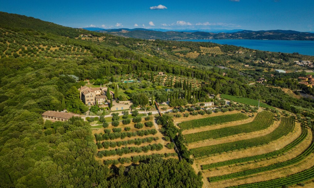 Viandante vineyards and house