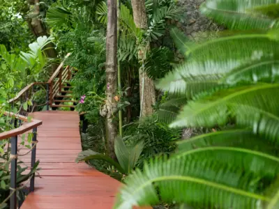 40 Walkway to the Ocean