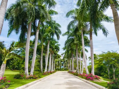 DJI 20250928113047 0160 D AW