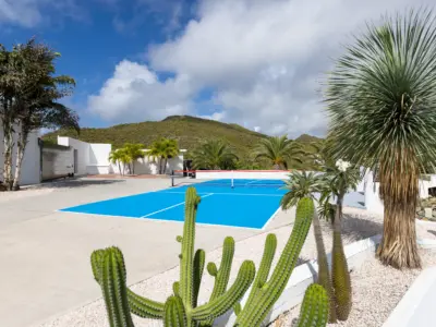 11 Pickle Ball Amalia