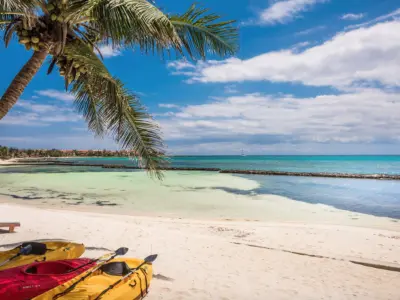 Screen Shot 2019 11 12 at 4 39 11 PM