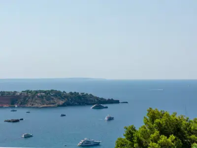 2c73d0fd 44b6 4e82 a90d 2401c1527196