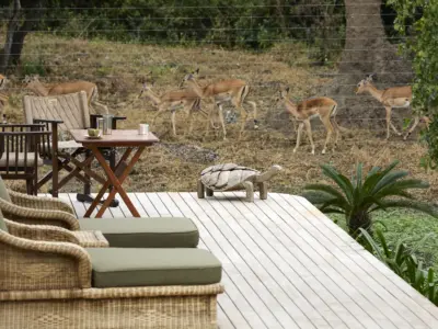 Garden Cottage Laba Mama Simba 6