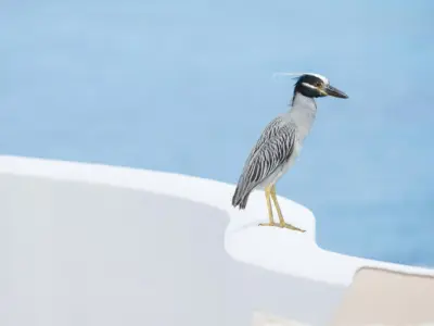 Island beaches etc 22