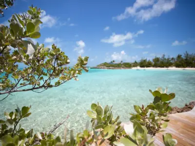 Entrance beach 2 and buttonwood