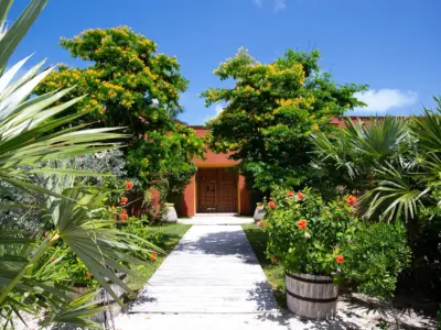 Sport beach paddle boards 14