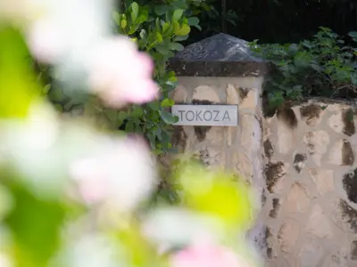 TOKOZA BAY SIDE EXTERIOR 2020 47