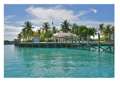 2934 61311b5ae686f jpg 1360 1100