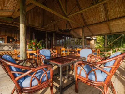 Relaxing on the porch