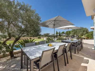 Camí de Sa Font Campos 17