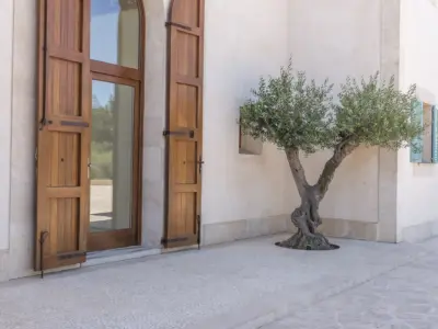 Camí de Sa Font Campos 165