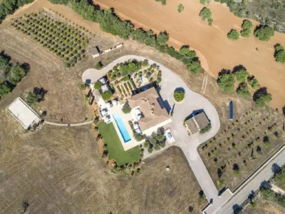 Camí de Sa Font Campos 181