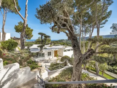 Gabellí 8 Son Vida 31