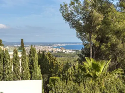 Gabellí 8 Son Vida 87