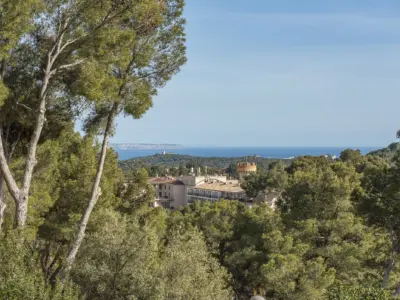 Gabellí 8 Son Vida 88