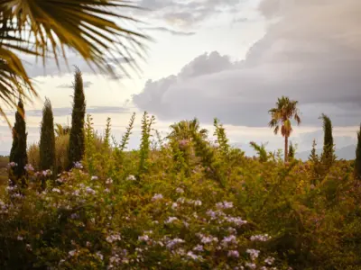 393 AS 211029 0041 OO DSC4187 Jaist