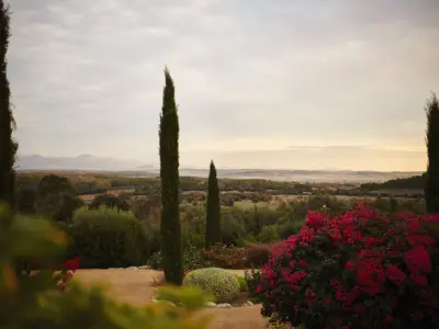 393 AS 211029 0094 OO DSC4243 Jaist