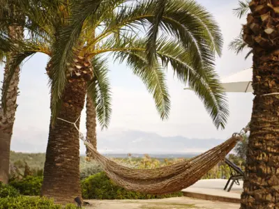 393 AS 211029 0148 OO DSC4300 Jaist