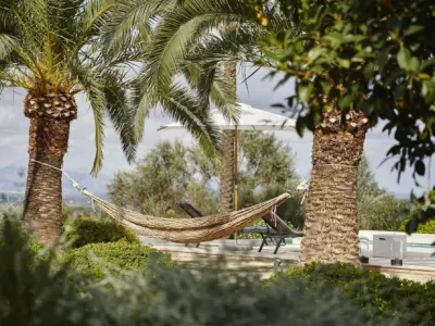 393 AS 211029 0232 OO DSC4389 Jaist