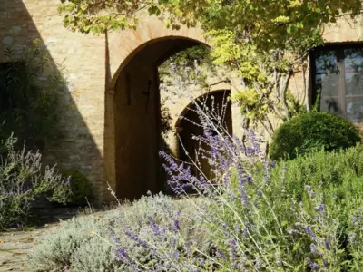 Arch lavender
