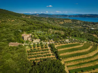 Viandante vineyards and house