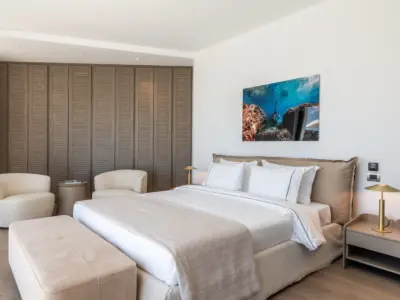 Serenity Psarou Estate 56