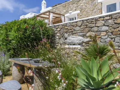 NEW PHOTOSHOOTING 2023 46