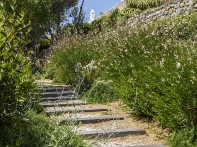 NEW PHOTOSHOOTING 2023 47