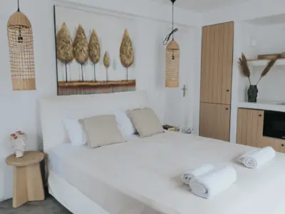 MY MYKONOS VILLA I 4