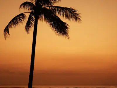 4 Beach 3