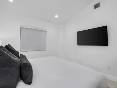 41