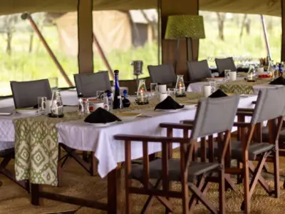 GJS Dulana Serengeti 13