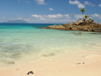 The beach