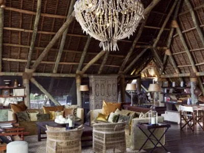 Laba jongo main 0524 006 high
