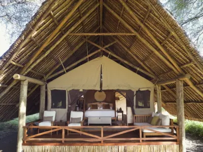 Laba jongo manor 0524 45 high