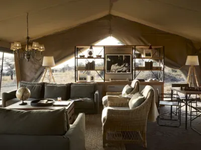 Bar Lounge Out of Africa 2