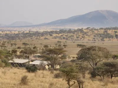 Exterior view Out of Africa