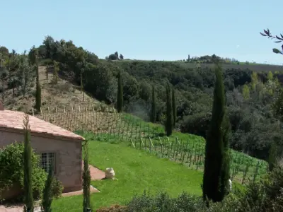 Lavacchio 1 010