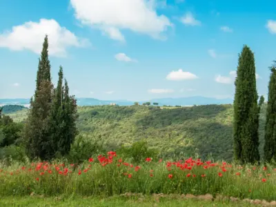 Fontanelle 031a