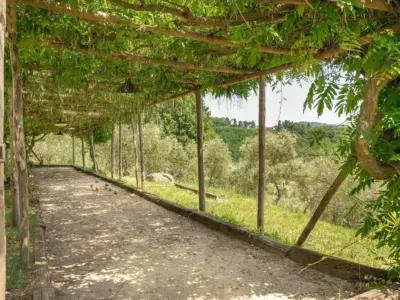 Villa La Sorgente San Martino in Freddana 29