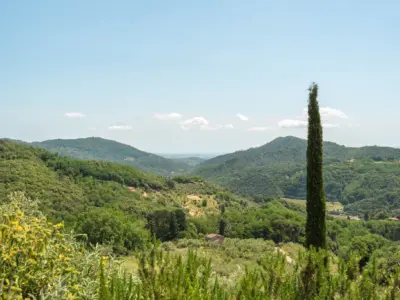Villa La Sorgente San Martino in Freddana 30