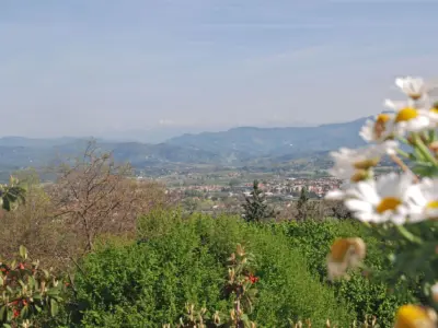 Montefiore 030
