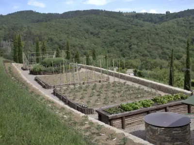La maccinaia 045