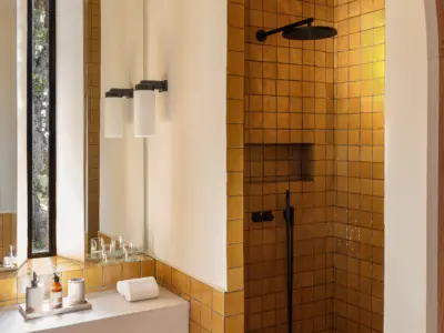 Iconic hauts de gordes Mr Tripper 10