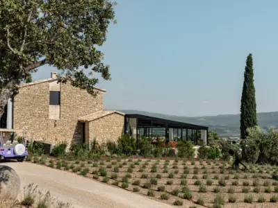 Iconic hauts de gordes Mr Tripper 29