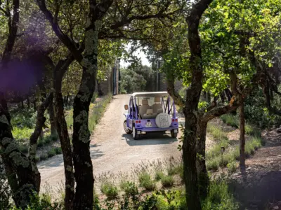 Iconic hauts de gordes Mr Tripper 30