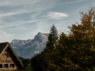 Sarto iconic house mrtripper 66