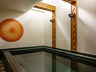 Sarto iconic house mrtripper 75